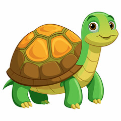 tortoise isolated vector