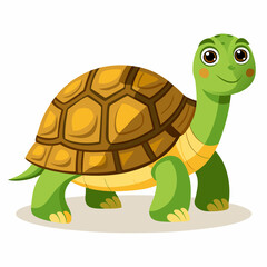 tortoise isolated vector