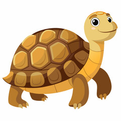 tortoise isolated vector