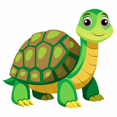 tortoise isolated vector