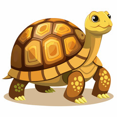 tortoise isolated vector