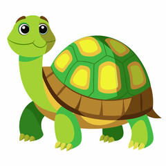 tortoise isolated vector