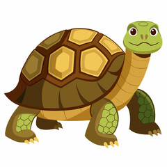 tortoise isolated vector
