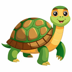 tortoise isolated vector