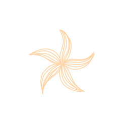 Chinese New Year icons, symbols and decorations  vector illustrations