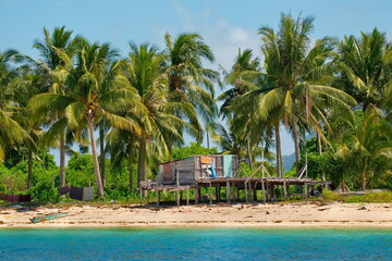 Malaysia. Coconut palms in the village of sea gypsies on numerous reef islands near the island of...