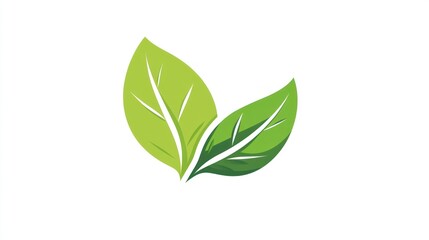 Fototapeta premium Green leaves logo design