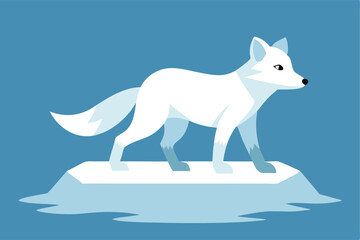 polar wolf in snow fox