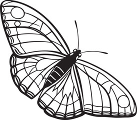 Butterfly vector art eps file