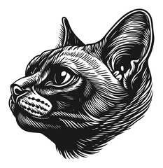 Obraz premium Detailed Woodcut Style Cat Illustration in Black and White Design
