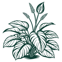  Diastema Houseplant Bold Outline Design