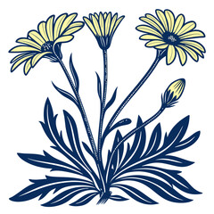  Artistic Dimorphotheca Sinuata Outline Design