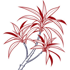  Charming Dracaena Marginata Houseplant Art