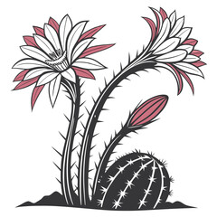  Charming Echinopsis Oxygona Houseplant Art
