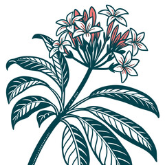  Charming Egyptian Starcluster Houseplant Art