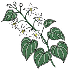  Stylish Epimedium Houseplant Illustration
