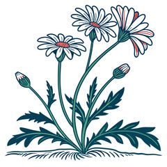  Vibrant Felicia Amelloides Houseplant Art