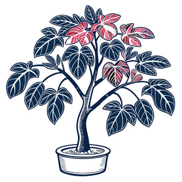 potted fig tree with red and blue leaves clip art preview