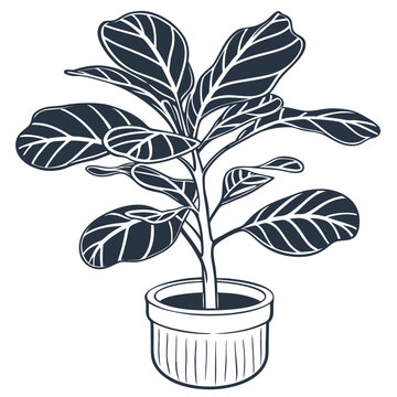 black and white potted fiddle leaf fig clip art preview