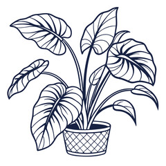  Charming Flapper Plant Houseplant Outline Art