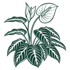  Charming Fortune Plant Houseplant Bold Outline