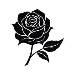 Silhouette rose flower on a white background
