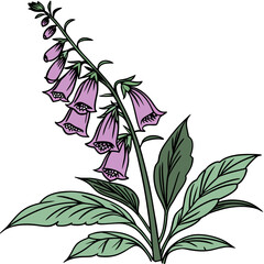  Sophisticated Foxglove Houseplant Vector Design