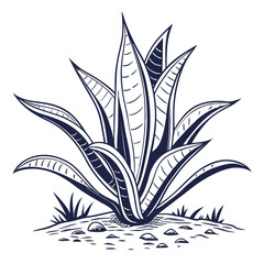  Charming Furcraea Houseplant Vector Design