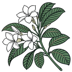  Stylish Gardenia Houseplant Illustration