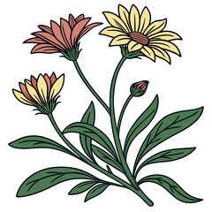 Gazania Houseplant Bold Outline Art