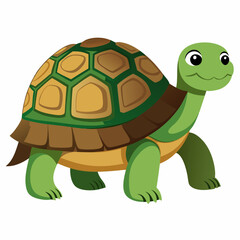 tortoise isolated vector