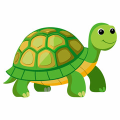 tortoise isolated vector