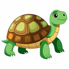 tortoise isolated vector