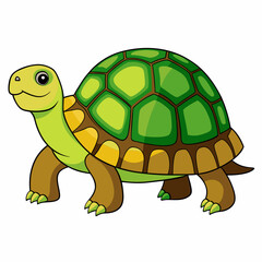 tortoise isolated vector