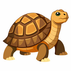 tortoise isolated vector