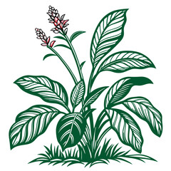  Vibrant Green Ginger Art for Home Decor