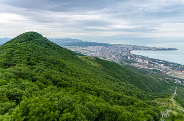 Fototapeta premium Sweeping view of Gelendzhik reveals lush green hills meeting bustling coastal cityscape. Overcast sky casts soft lighting, enhancing vibrant green hues. Black seas calm waters form scenic backdrop
