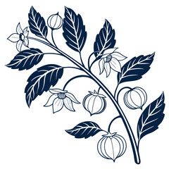  Charming Groundcherry Houseplant Art for Interiors