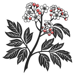  Unique Hawthorne Tree Houseplant Bold Outline