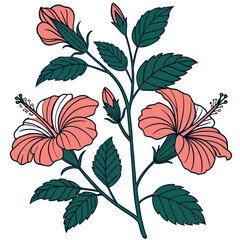  Stylish Rosa Sinensis Hibiscus Illustration