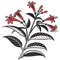  Charming Hotlips Plant Houseplant Illustration