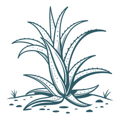  Ice Plant Houseplant Bold Outline Art