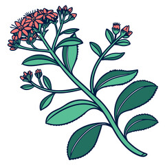  Charming Ice Plant Houseplant Art