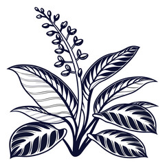  India Ink Plant Houseplant Bold Art