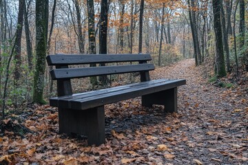 Rustic Wooden Bench on Leaf-Strewn Forest Trail