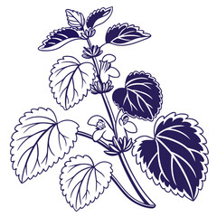  Lamium Houseplant Bold Outline Design