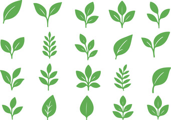 Green leaves seamless pattern design with floral and nature elements