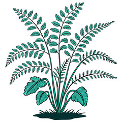  Charming Maidenhair Fern Houseplant Illustration
