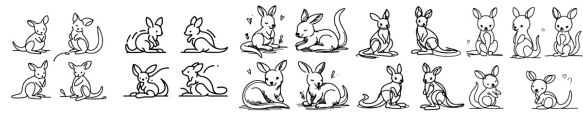 Collection of line vectors of kangaroo animals