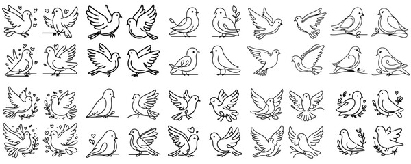 Collection of line vectors of various birds animals